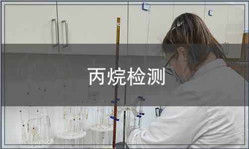 丙烷檢測