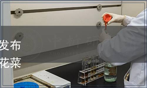 三穗縣農產品發展協會關于發布《三穗猴頭菇》、《三穗黃花菜》等兩項團體標準的公告