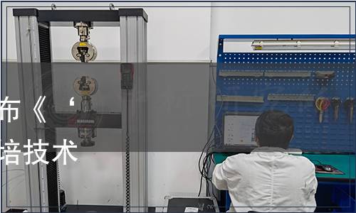 浙江省市場監管局批準發布《‘紅美人’柑橘設施綠色栽培技術規程》省級地方標準