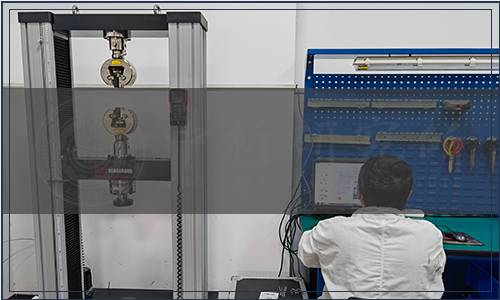 吉林省市場監督管理廳關于廢止《轉基因玉米中cry1A基因定性檢測  PCR法》等4項吉林省地方標準的公告