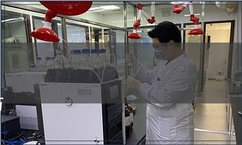 廣西壯族自治區(qū)市場監(jiān)督管理局關于批準發(fā)布《地理標志產品 防城金花茶》等68項地方標準的通告