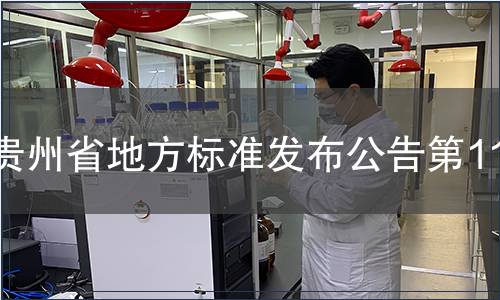 貴州省地方標準發布公告第119號