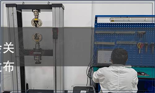 張家口市崇禮區特色產業協會關于《崇禮蠶豆》團體標準的發布公告（張崇特產協[2021]1號）