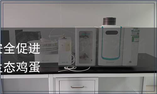 中國食品藥品企業(yè)質(zhì)量安全促進會關(guān)于批準(zhǔn)發(fā)布《富硒生態(tài)雞蛋》團體標(biāo)準(zhǔn)的公告