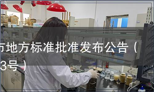 深圳市地方標準批準發(fā)布公告（總第13號）