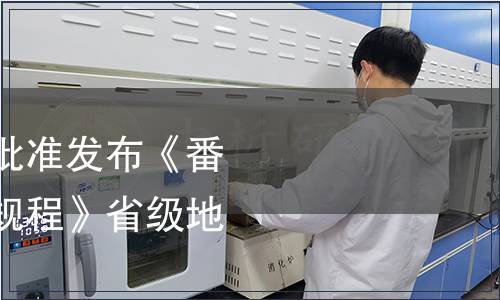 浙江省市場監管局批準發布《番茄水肥一體化技術規程》省級地方標準