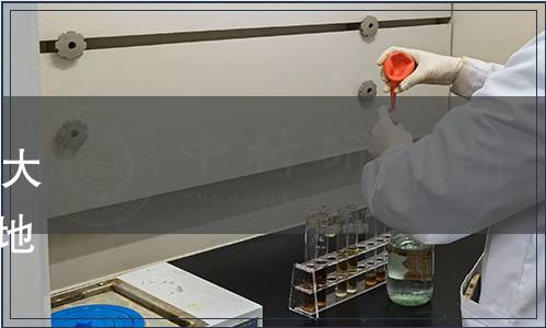 重慶市質監局批準發布《渝菜 大蒜鰱魚烹飪技術規范》等22項地方標準的公告 （第三十二號）