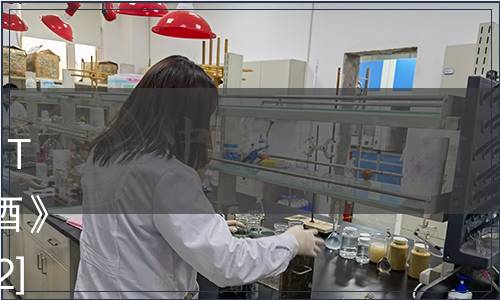 貴州省食品工業協會關于發布 T/GZSX 093-2022《舒適型窖酒》團體標準的公告（黔食協[2022]27號）