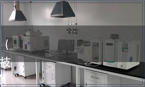 深圳市地方標準批準發布公告（總第166號）|《水培葉菜生產技術規程》等7項深圳市地方標準