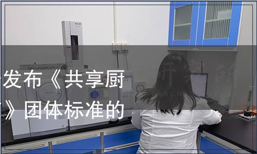 中國飯店協(xié)會(huì)關(guān)于發(fā)布《共享廚房服務(wù)與操作規(guī)范》團(tuán)體標(biāo)準(zhǔn)的公告