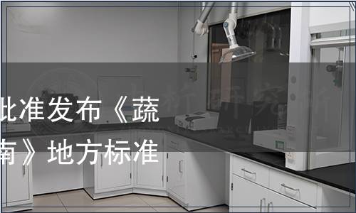 山東省質監局關于批準發布《蔬菜標準體系建設指南》地方標準的公告