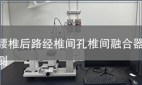 胸腰椎后路經椎間孔椎間融合器檢測