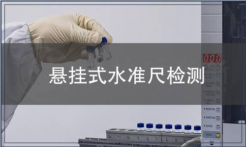 懸掛式水準(zhǔn)尺檢測(cè)