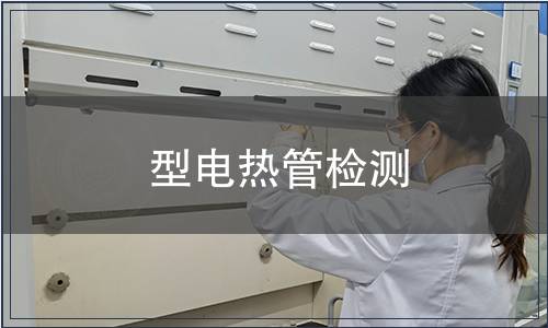 型電熱管檢測