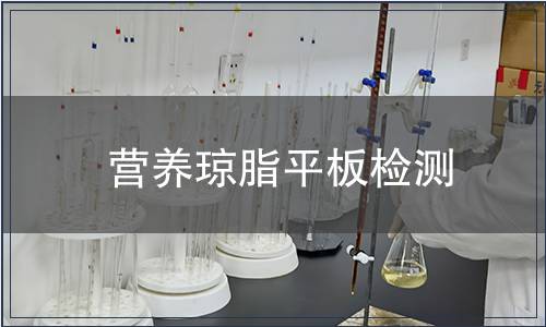 營(yíng)養(yǎng)瓊脂平板檢測(cè)