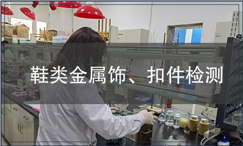 鞋類金屬飾、扣件檢測