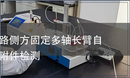 胸腰椎后路側方固定多軸長臂自攻螺釘含附件檢測