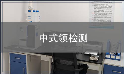 中式領(lǐng)檢測