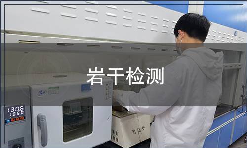 巖干檢測(cè)