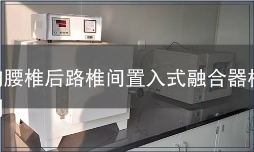 胸腰椎后路椎間置入式融合器檢測