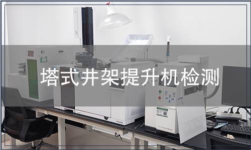 塔式井架提升機(jī)檢測