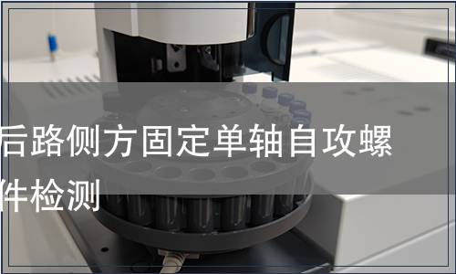 胸腰椎后路側方固定單軸自攻螺釘含附件檢測