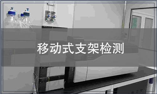 移動(dòng)式支架檢測(cè)