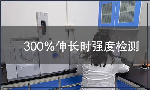 300％伸長(zhǎng)時(shí)強(qiáng)度檢測(cè)