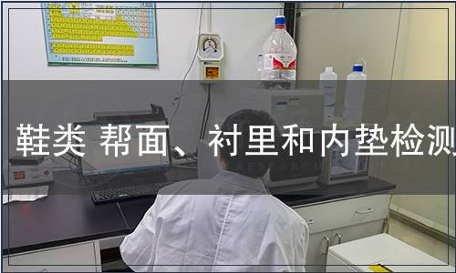 鞋類 幫面、襯里和內墊檢測