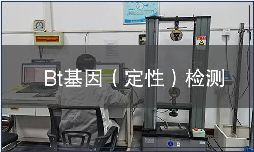 Bt基因（定性）檢測(cè)