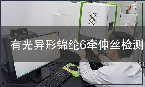 有光異形錦綸6牽伸絲檢測