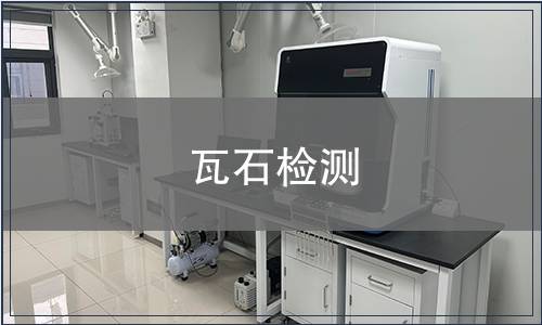 瓦石檢測
