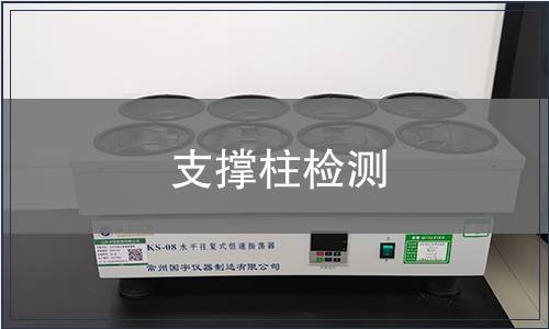 支撐柱檢測(cè)