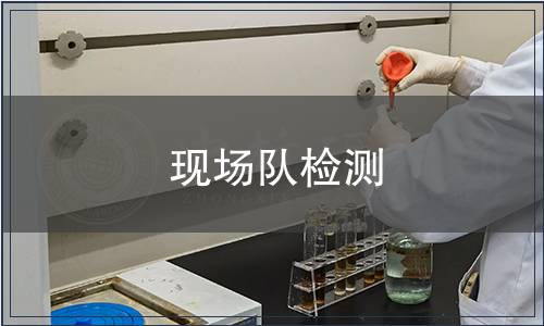 現(xiàn)場隊(duì)檢測