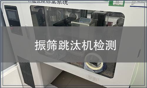 振篩跳汰機(jī)檢測