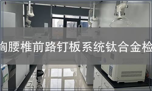 胸腰椎前路釘板系統鈦合金檢測