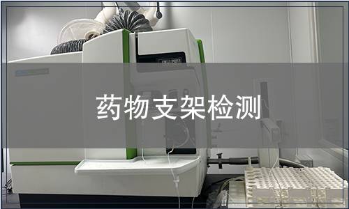 藥物支架檢測