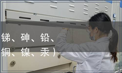 可萃取的重金屬（銻、砷、鉛、鎘、六價(jià)鉻、鈷、銅、鎳、汞）檢測(cè)