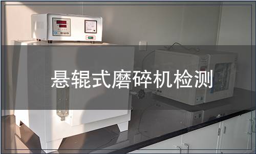 懸輥式磨碎機檢測