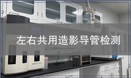 左右共用造影導(dǎo)管檢測(cè)