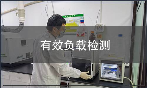 有效負(fù)載檢測(cè)