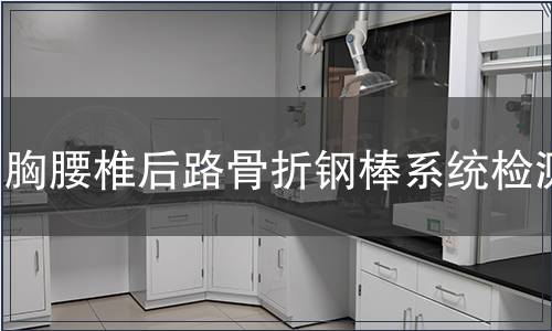 胸腰椎后路骨折鋼棒系統(tǒng)檢測