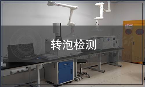 轉(zhuǎn)泡檢測(cè)