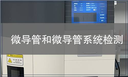 微導管和微導管系統檢測