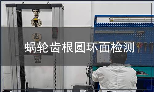 蝸輪齒根圓環(huán)面檢測