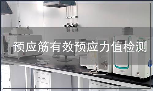 預(yù)應(yīng)筋有效預(yù)應(yīng)力值檢測
