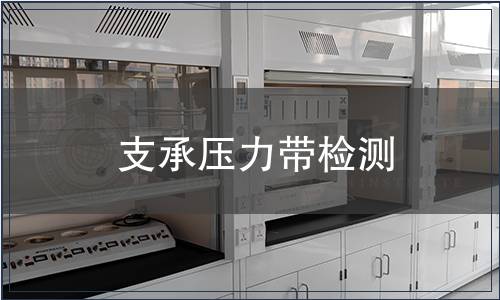 支承壓力帶檢測