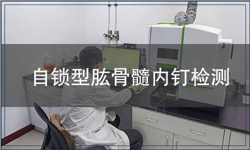 自鎖型肱骨髓內(nèi)釘檢測(cè)