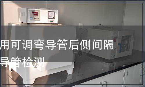 診斷消融用可調(diào)彎導(dǎo)管后側(cè)間隔溫控消融導(dǎo)管檢測