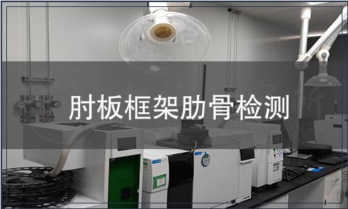 肘板框架肋骨檢測